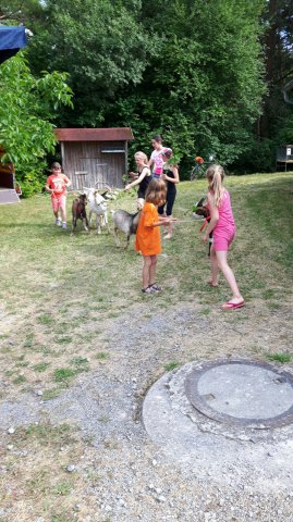 Sommer 2016 (4)